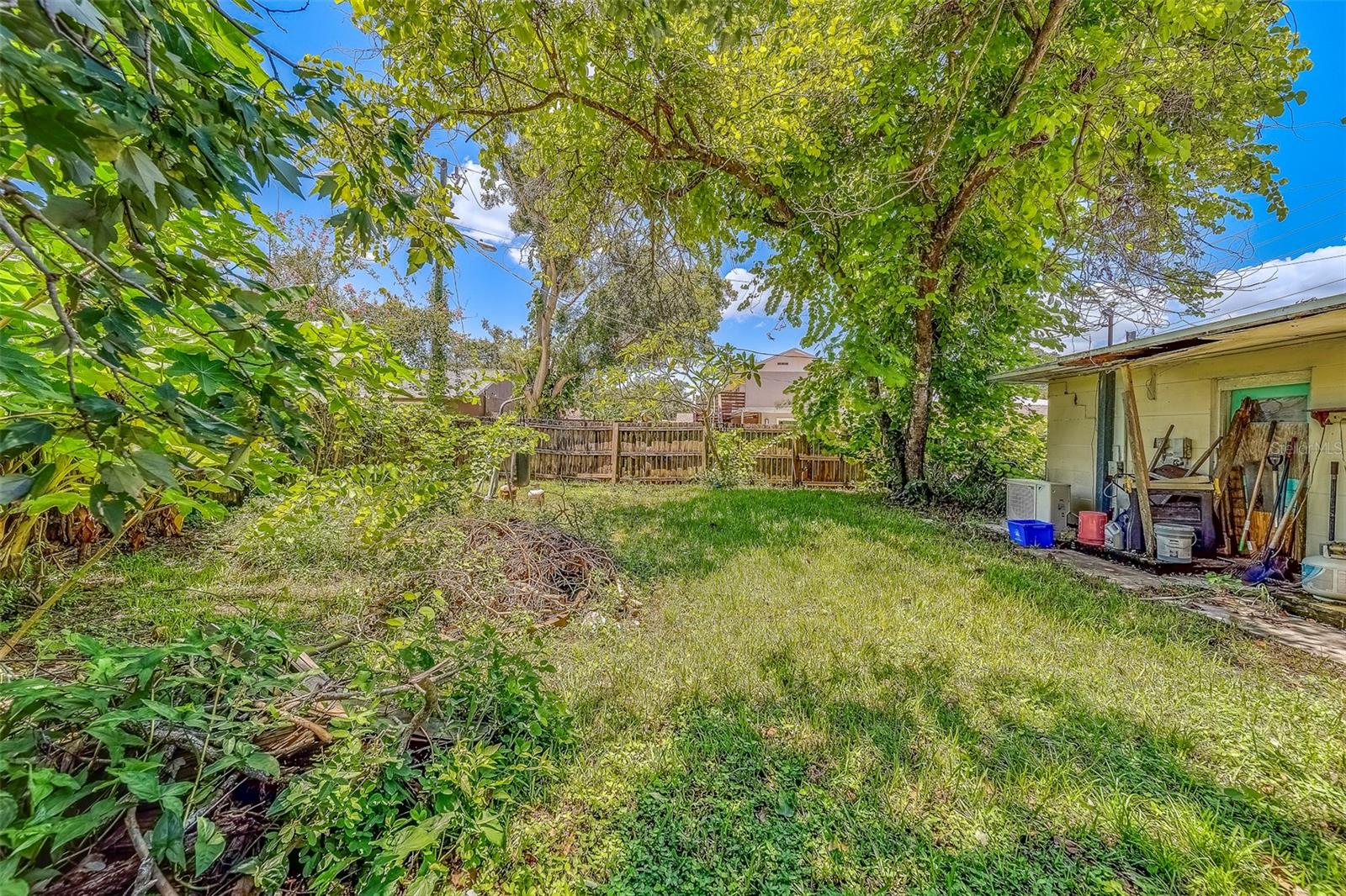 Backyard
