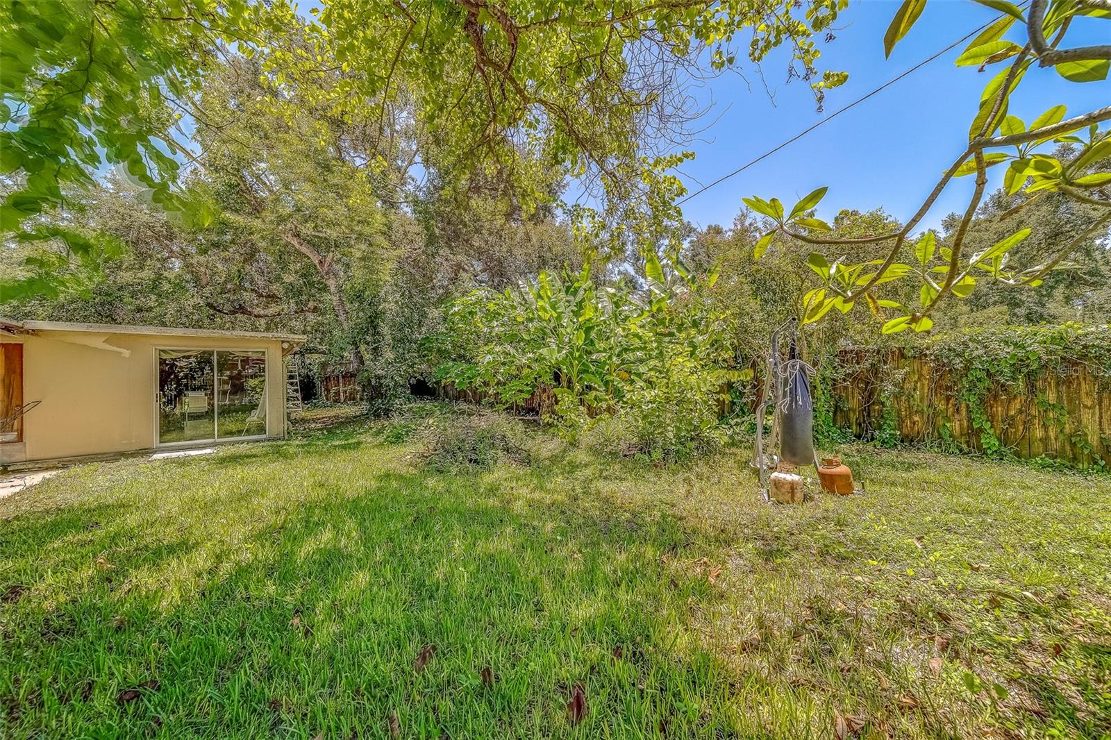 Back yard