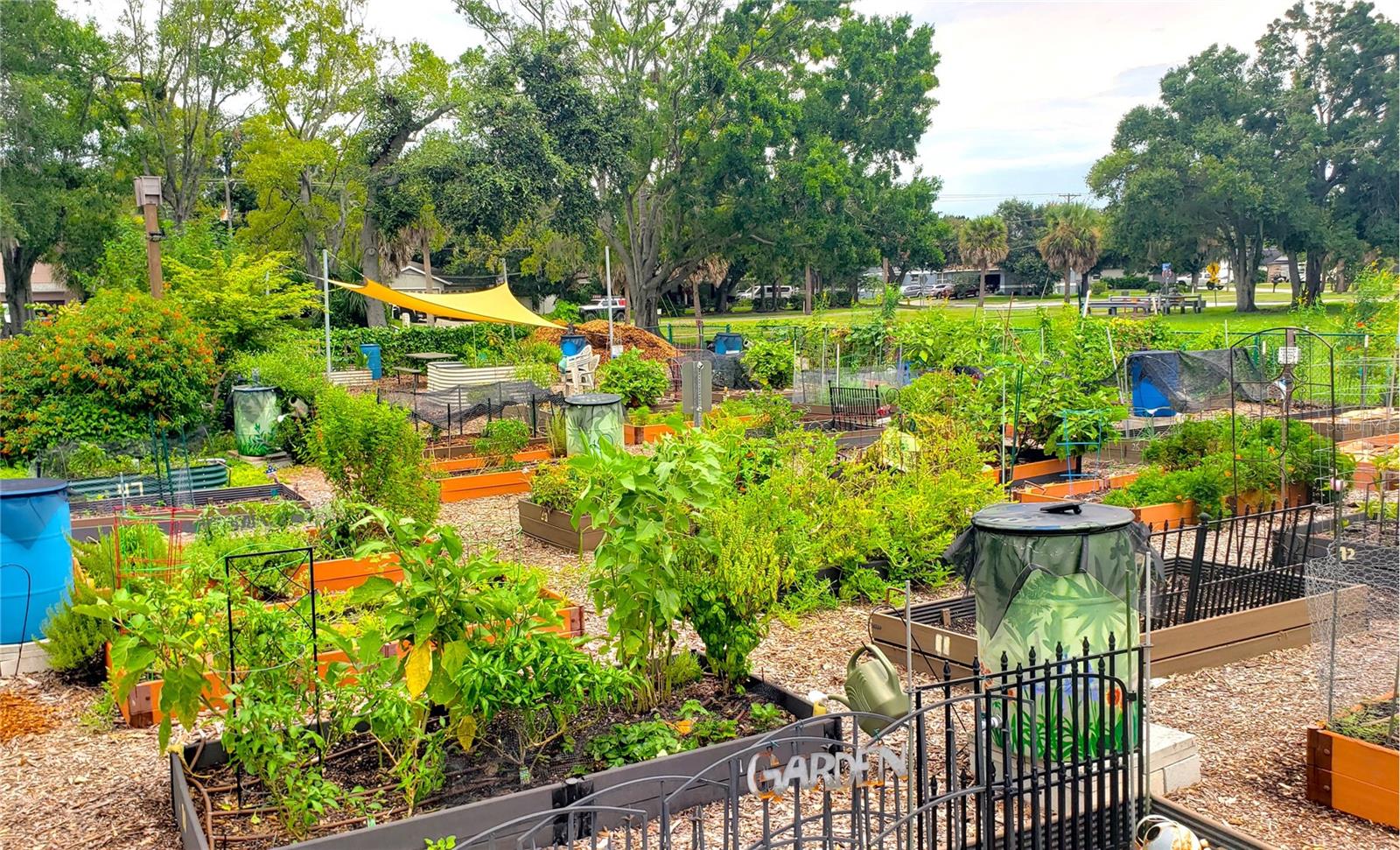 community garden