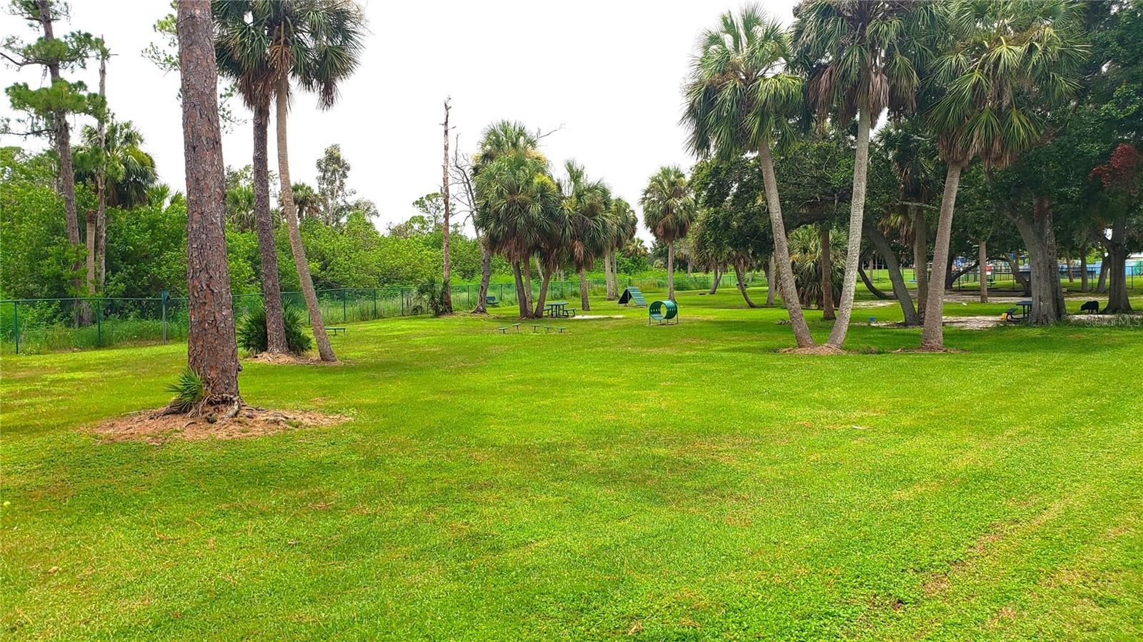 One of two nearby dog parks