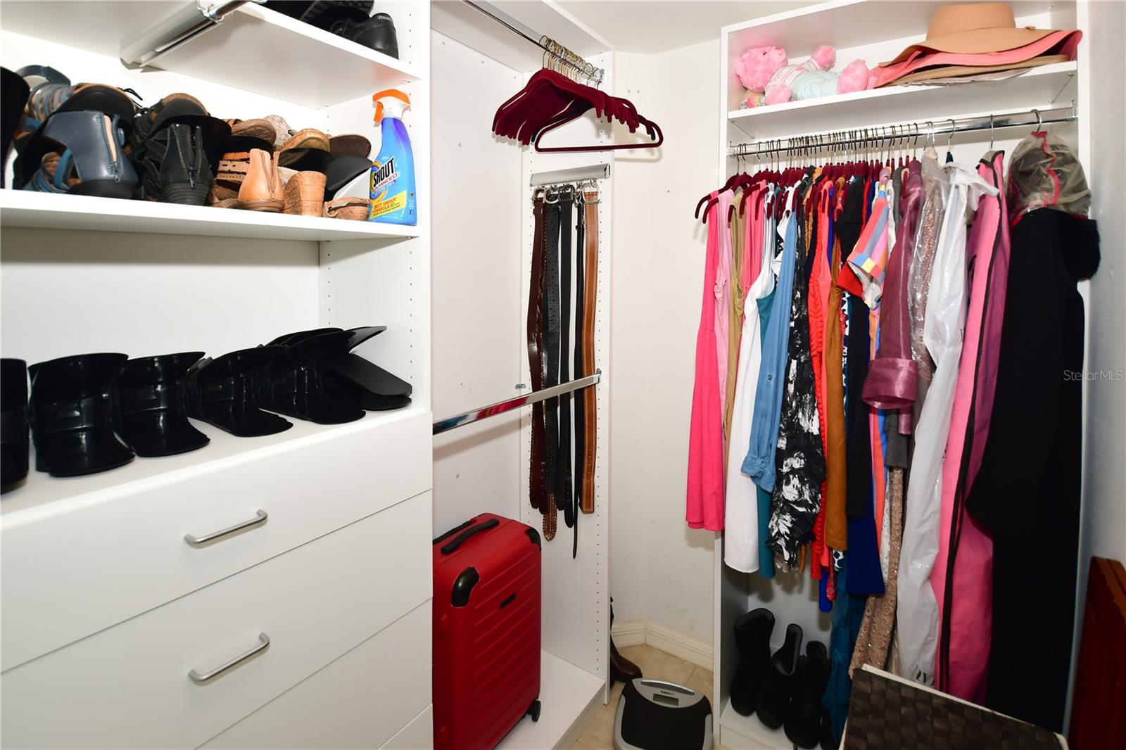 Primary walk in closet 1 of 2