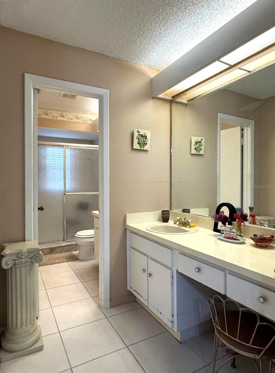 Master Bath Area