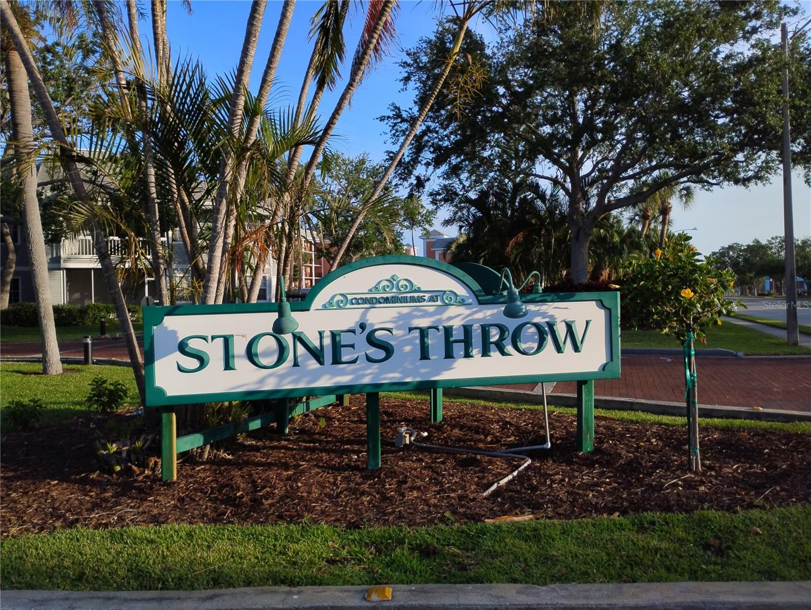 Tropical Tree Entrance