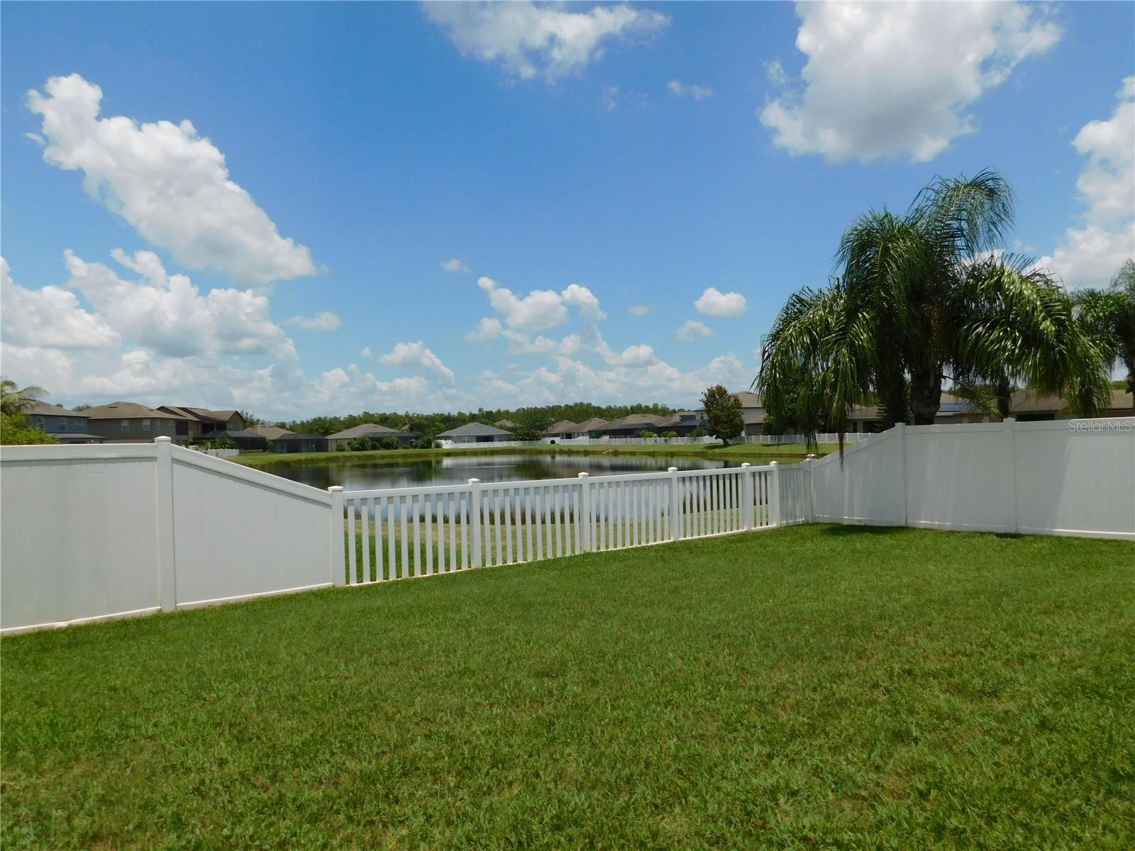 Back yard