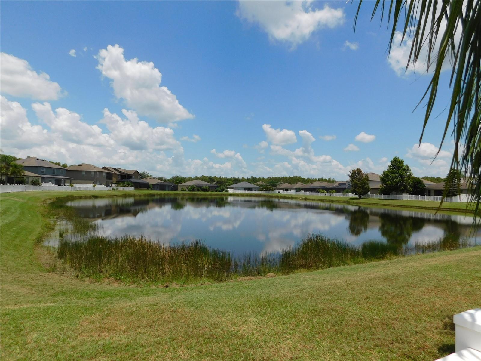 Pond view from lanai & back yard