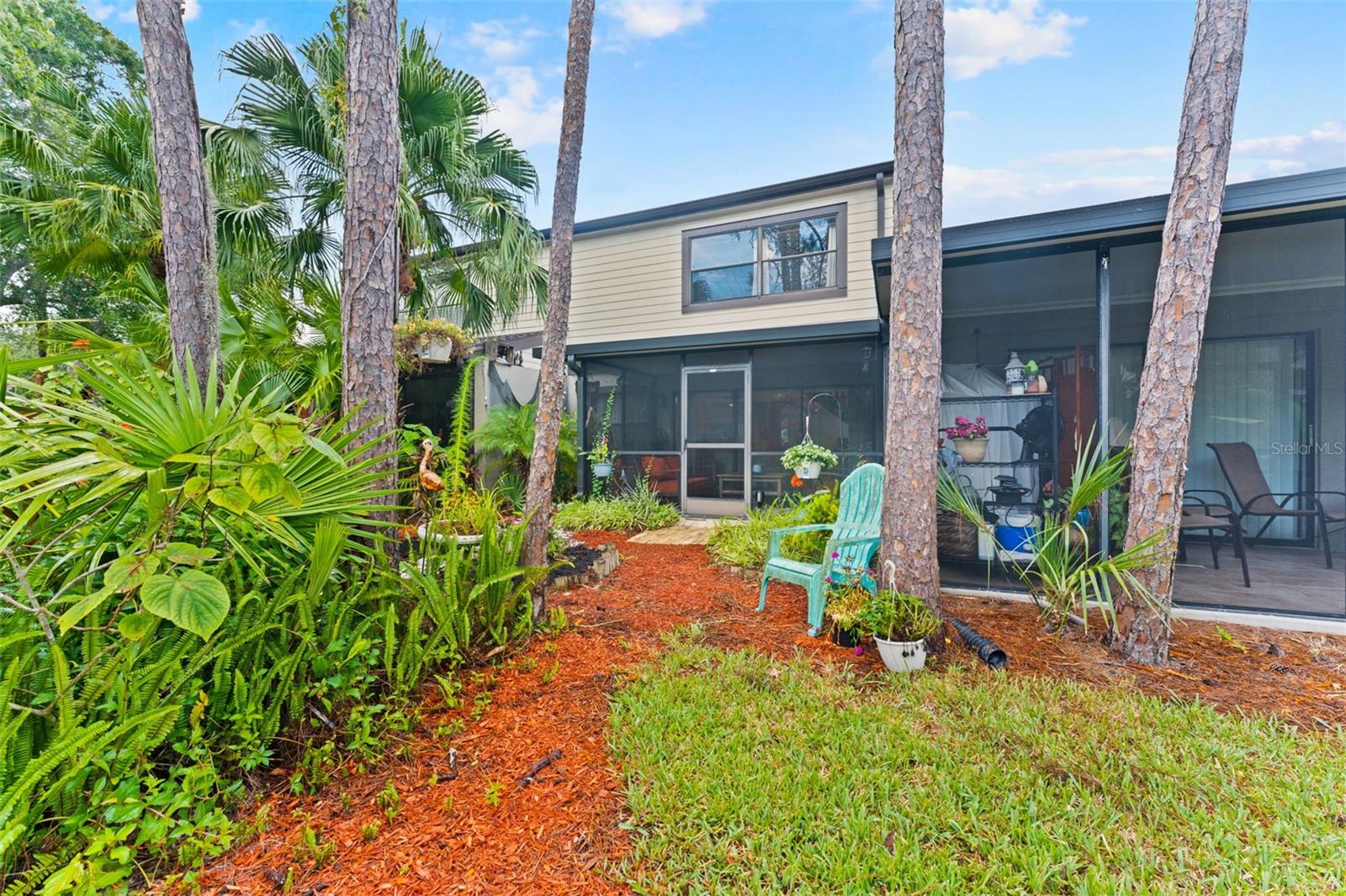 back yard
