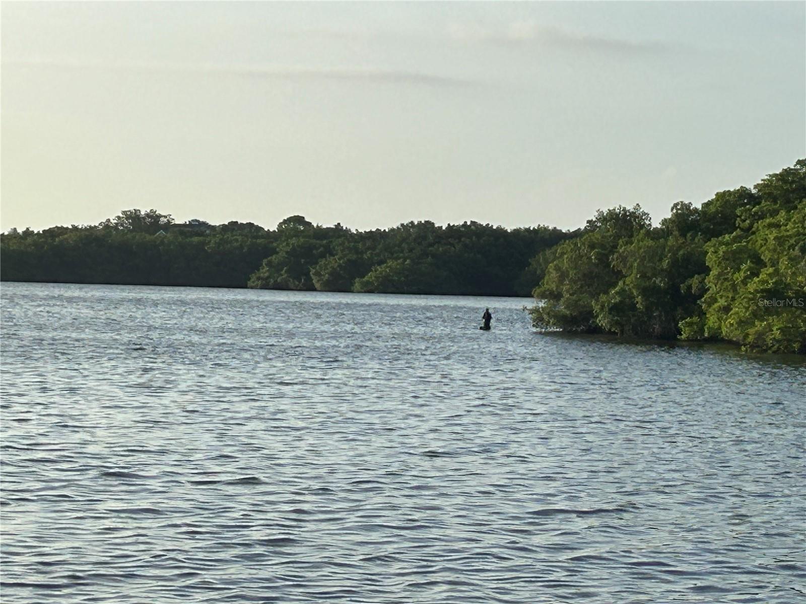 Tampa Bay