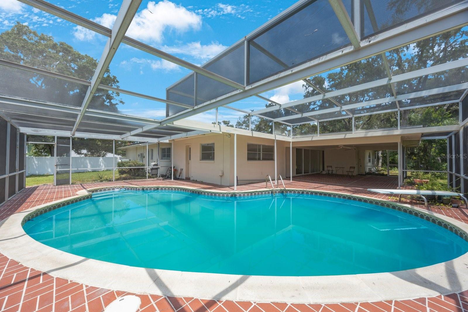 Zbird caged pool!