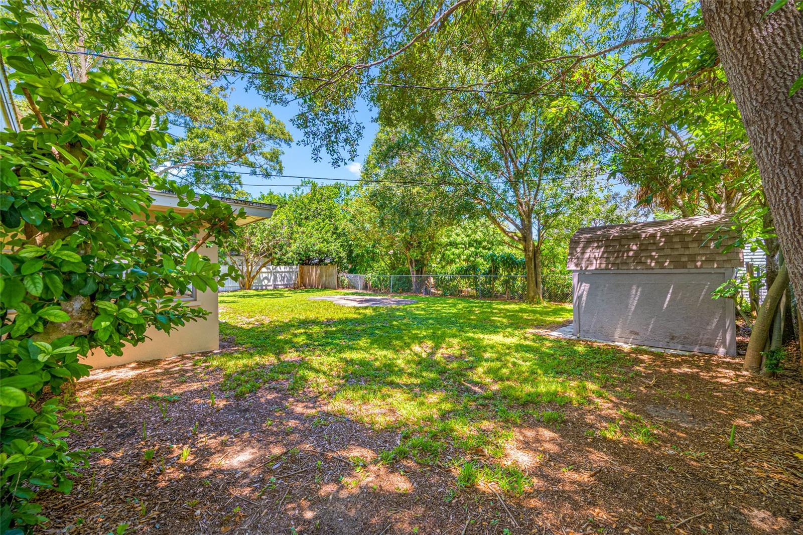 Park-like, tree shaded backyard!