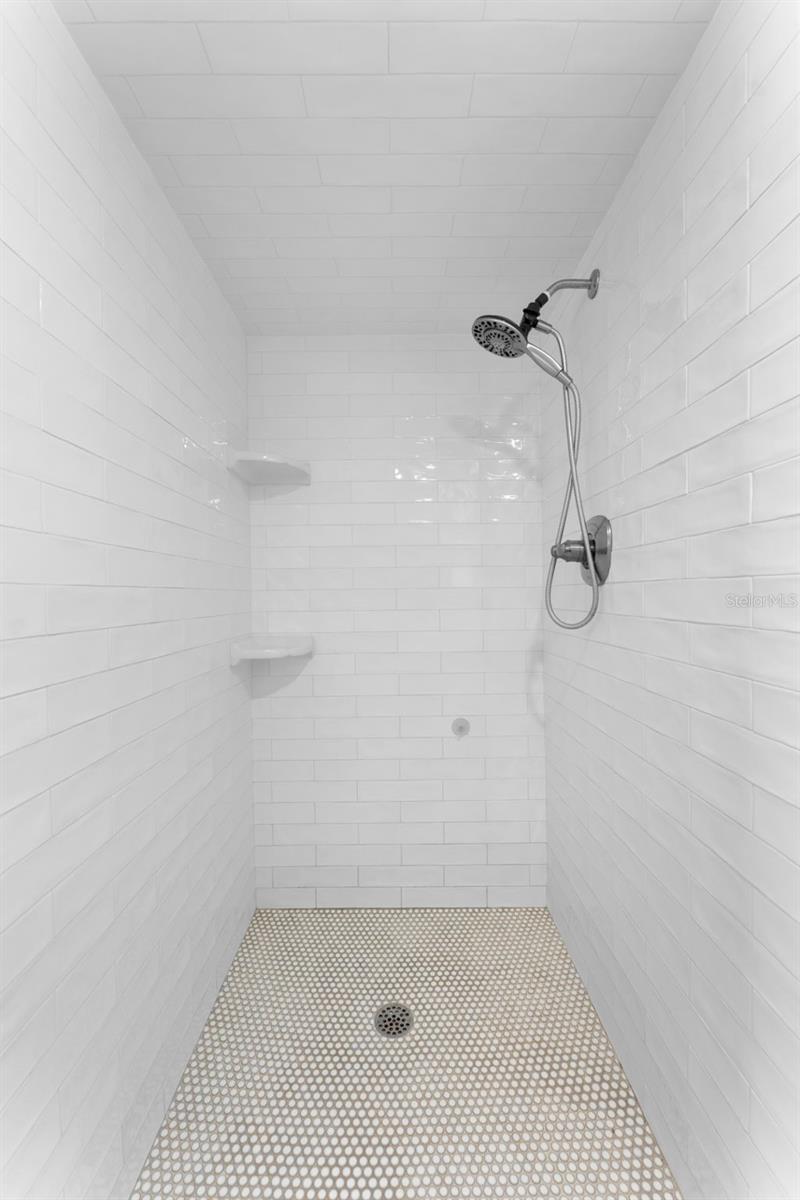 Primary Shower