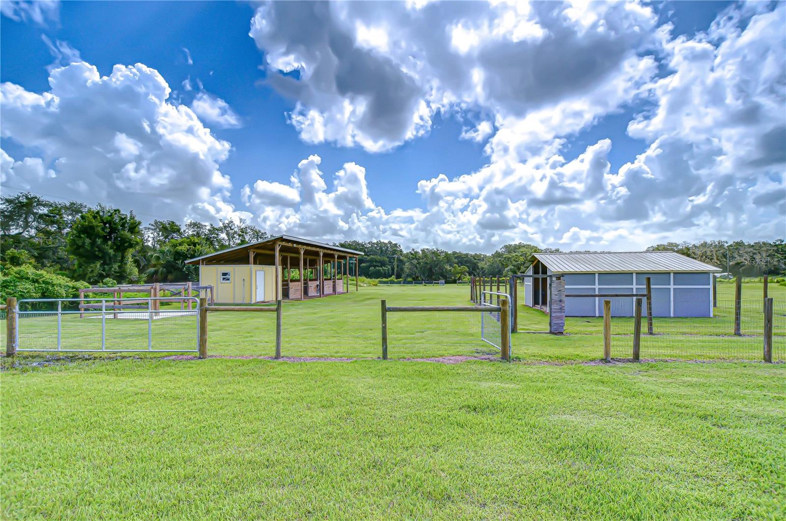 Expansive fenced pastures with new irrigation lines!
