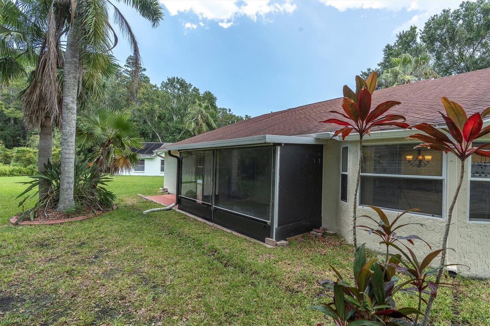 Rear view of home