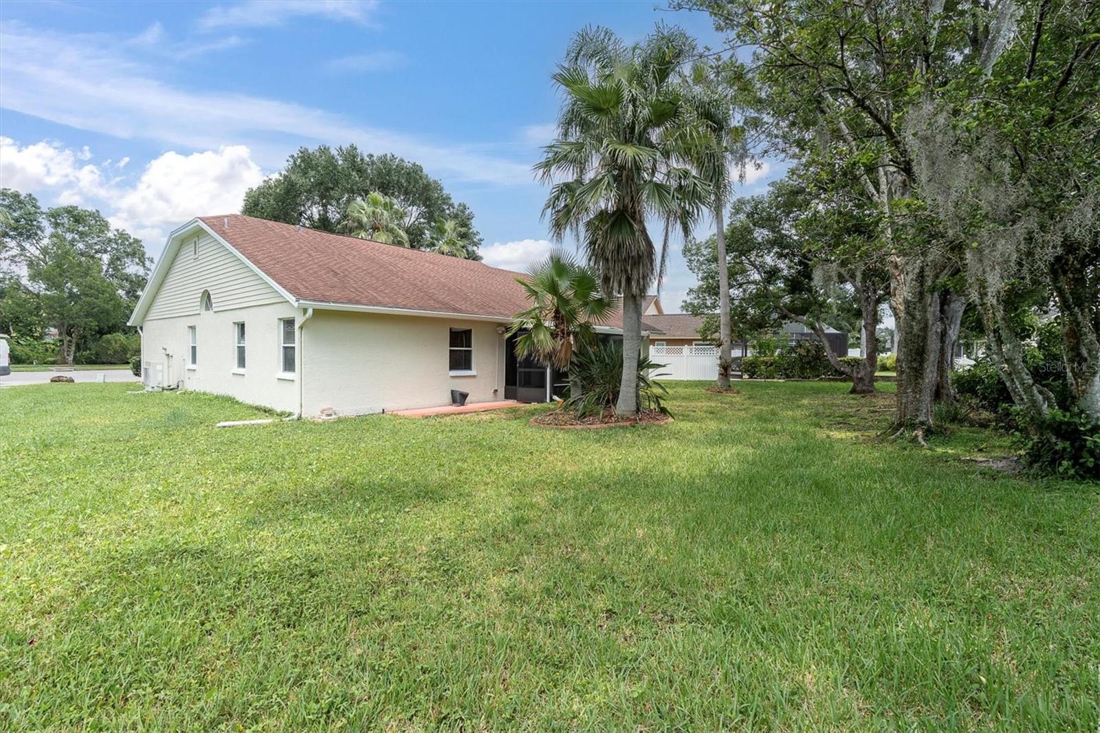 Large rear yard