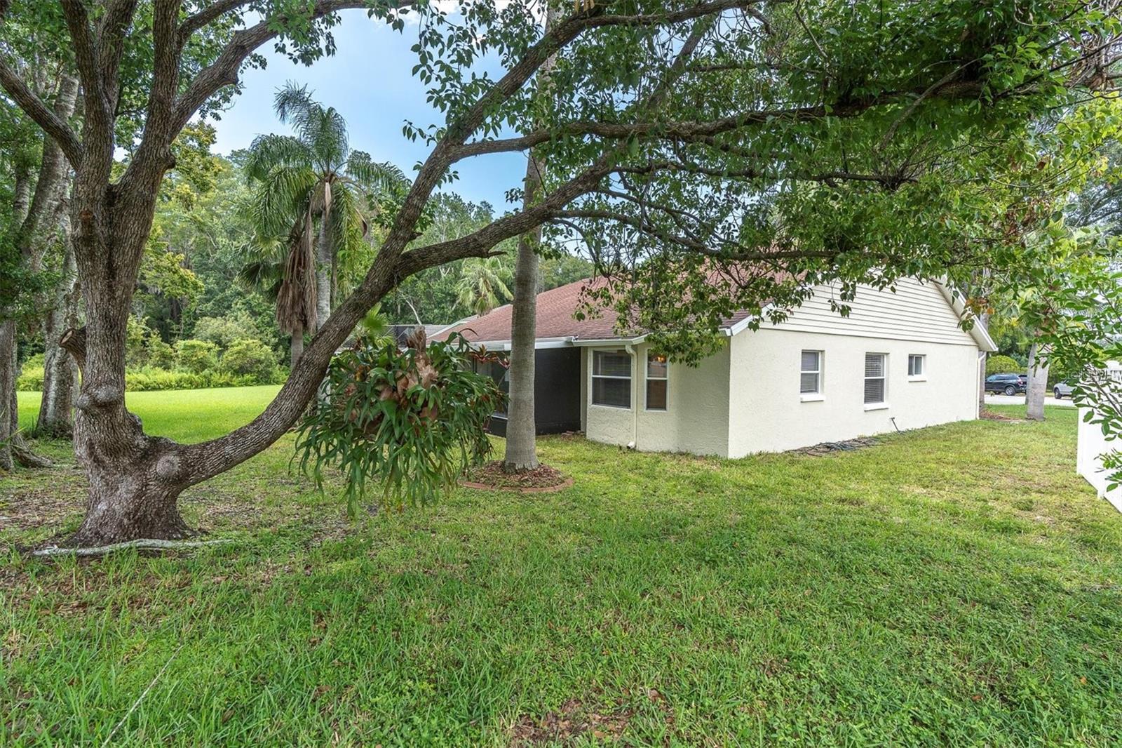 Large rear yard