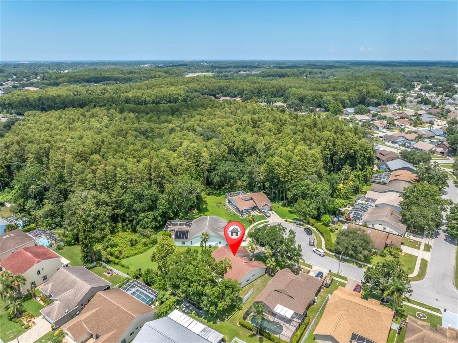 Drone view of neighborhood