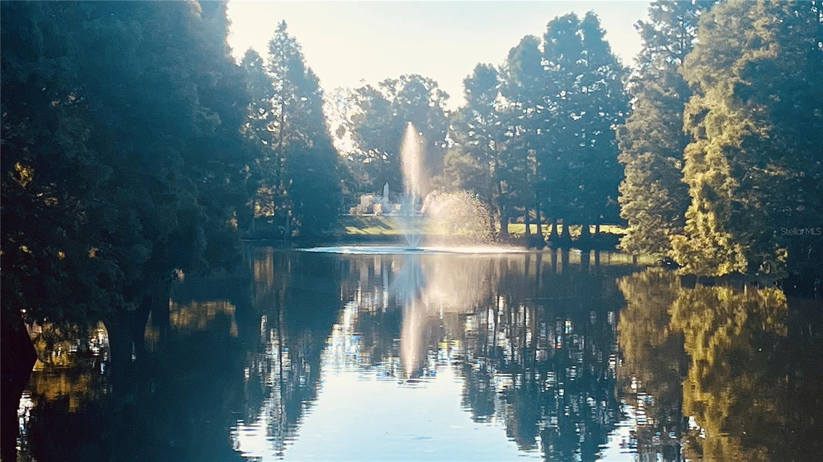 Green Space Ponds