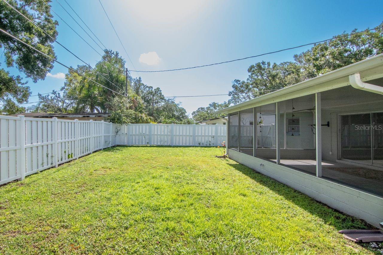 Backyard Exterior