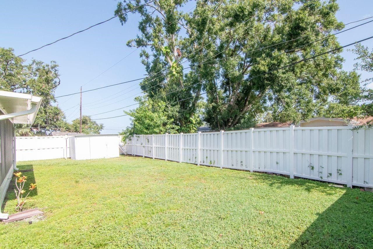 Backyard Exterior
