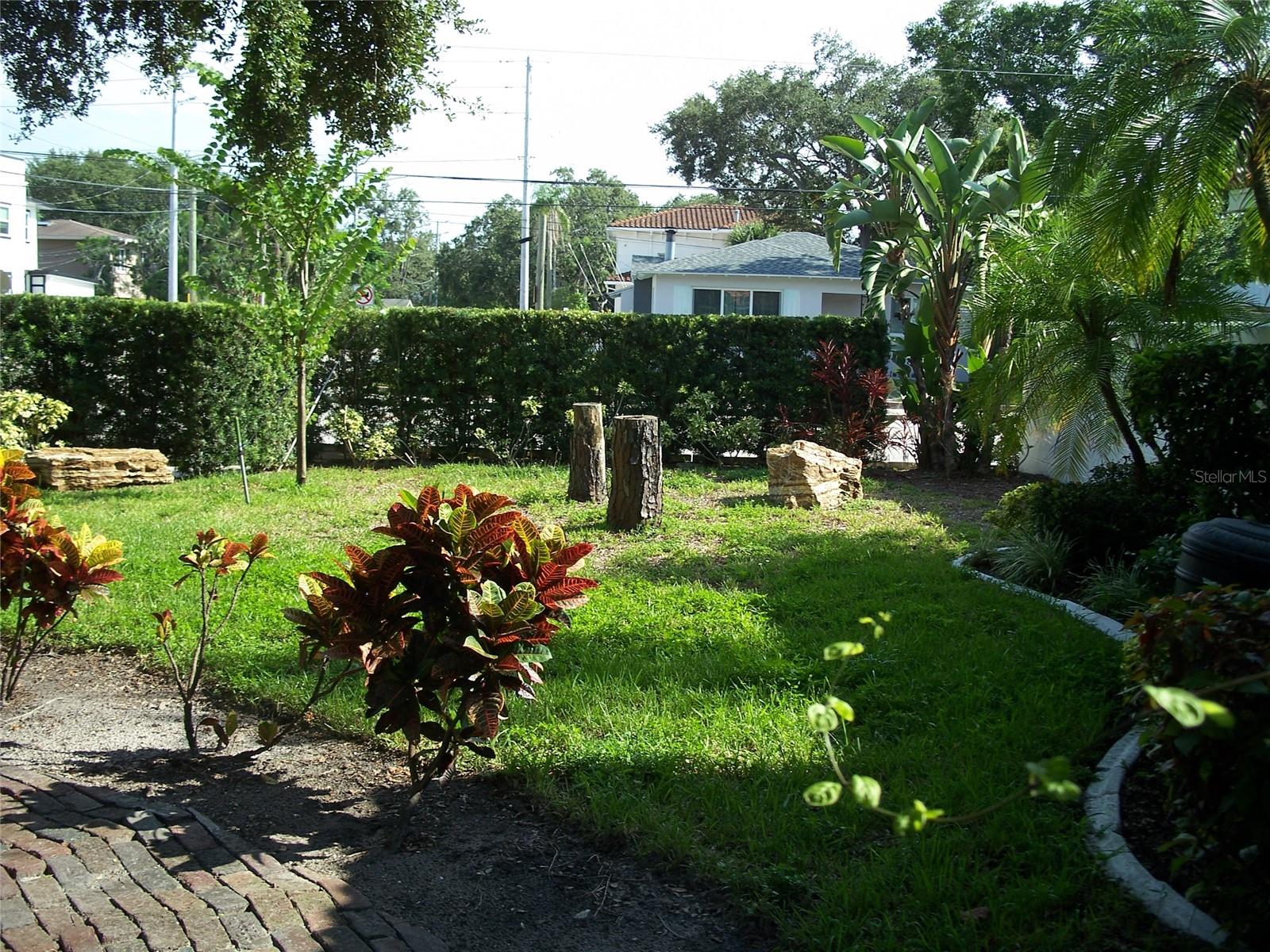 South front yard.