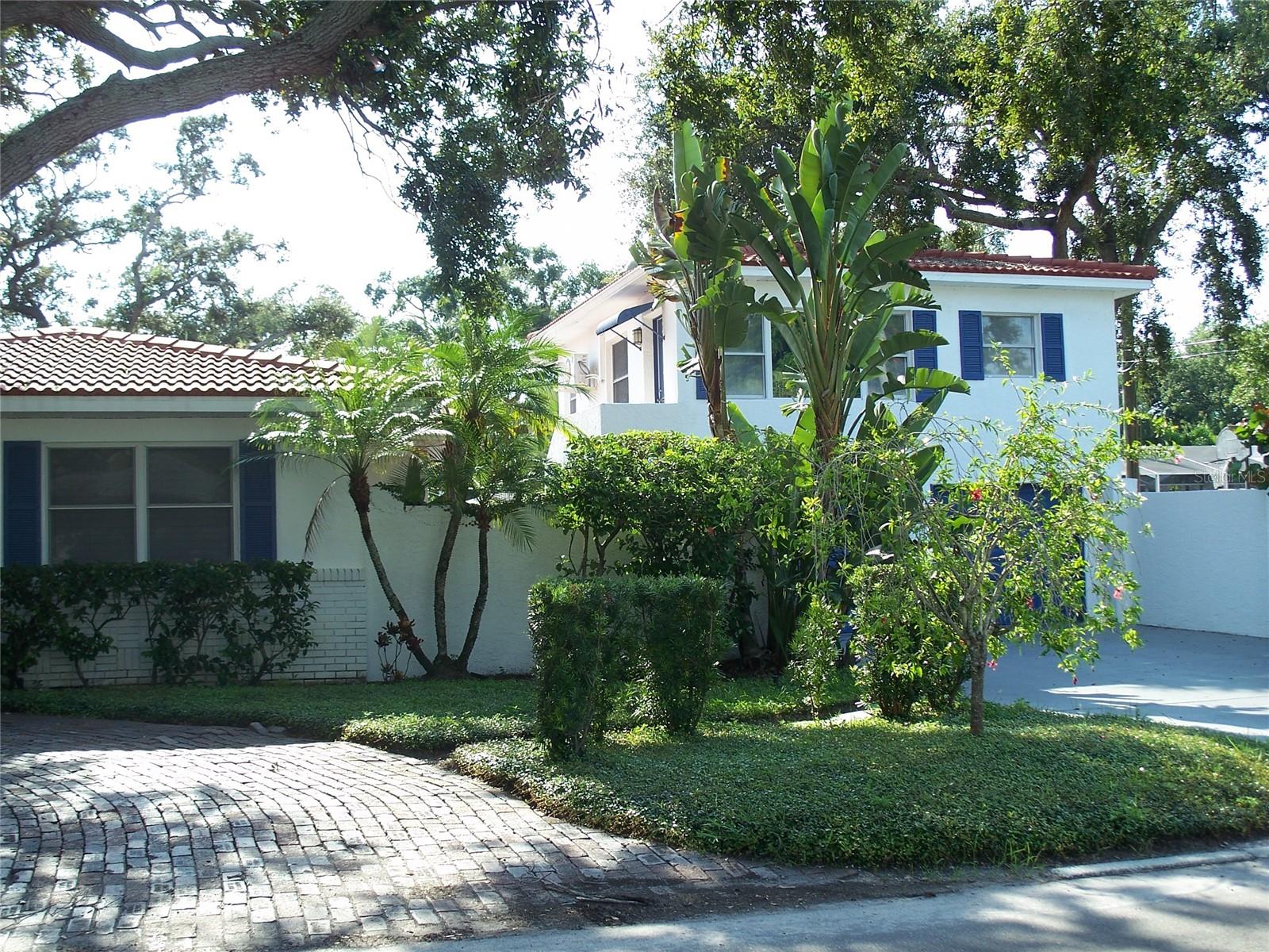 North front yard.