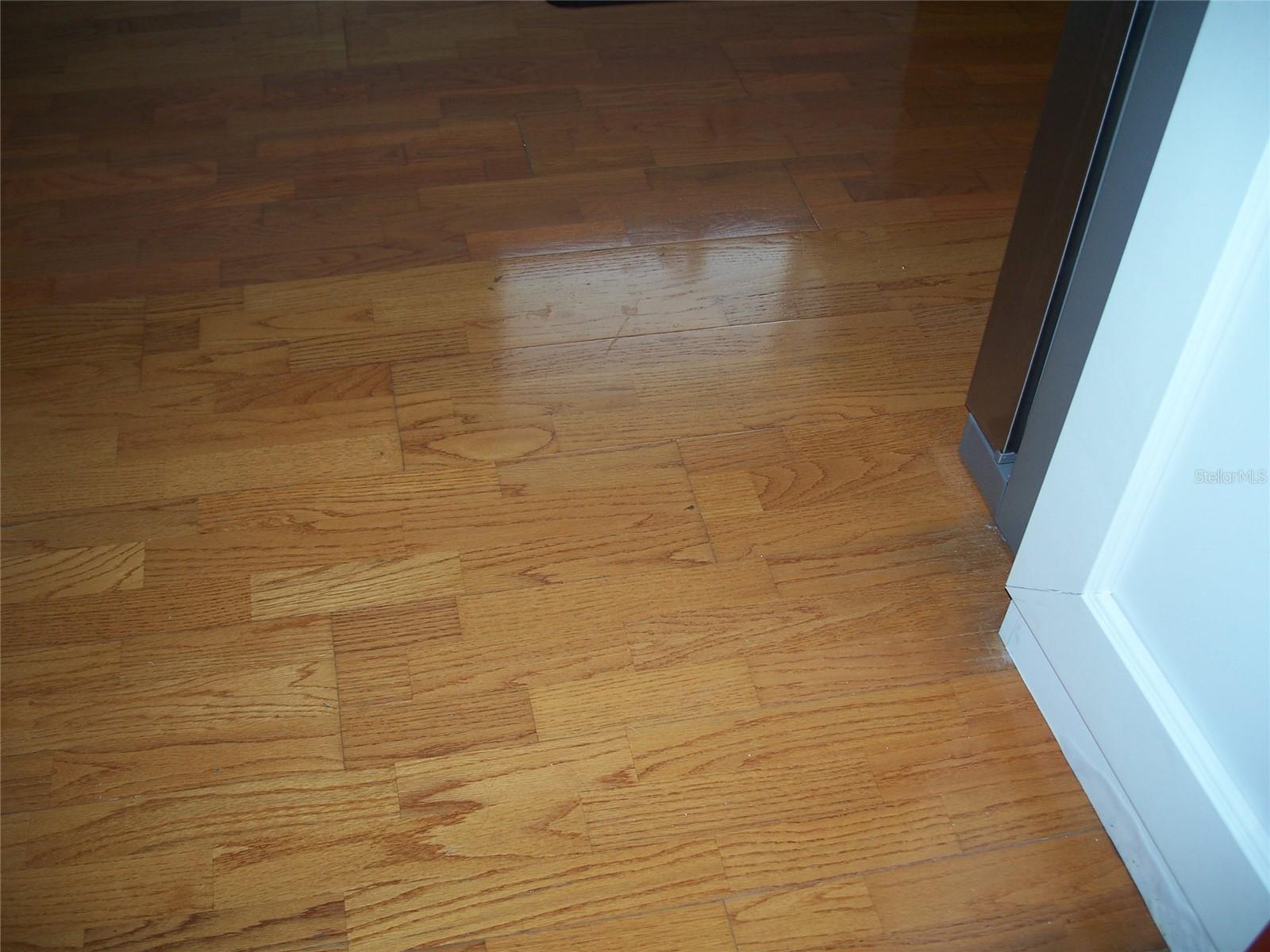 Glimmering HW flooring.
