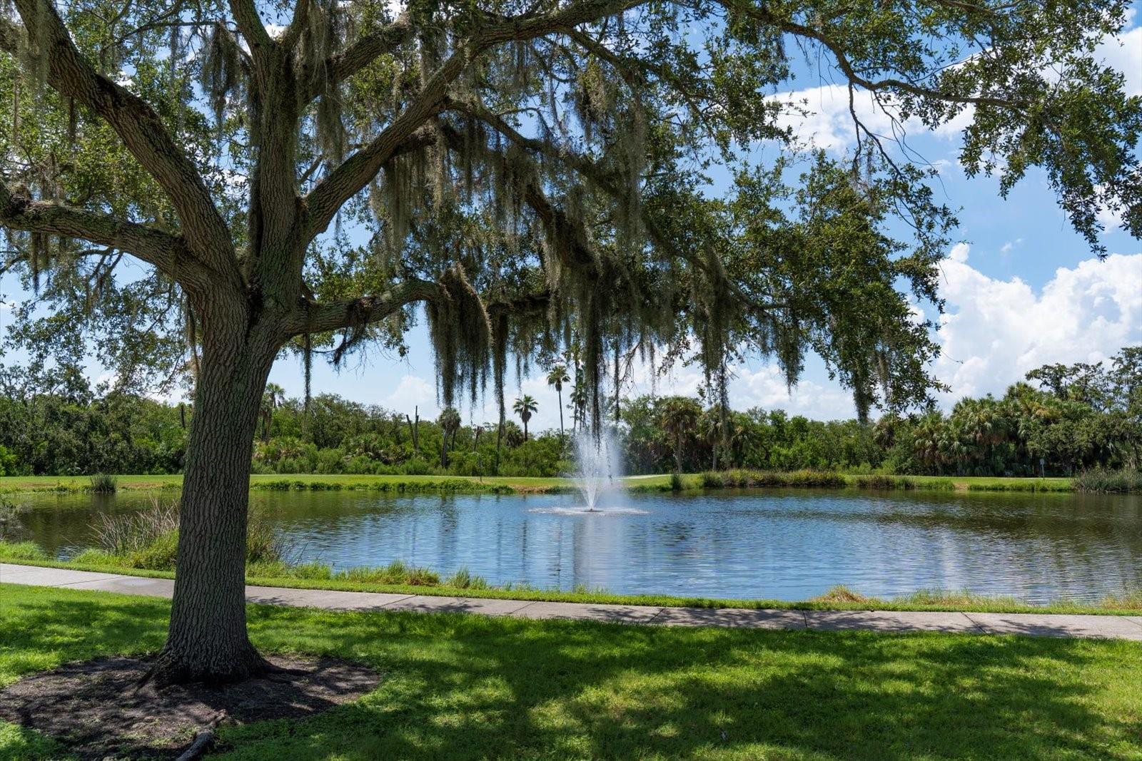 Beautiful nature park