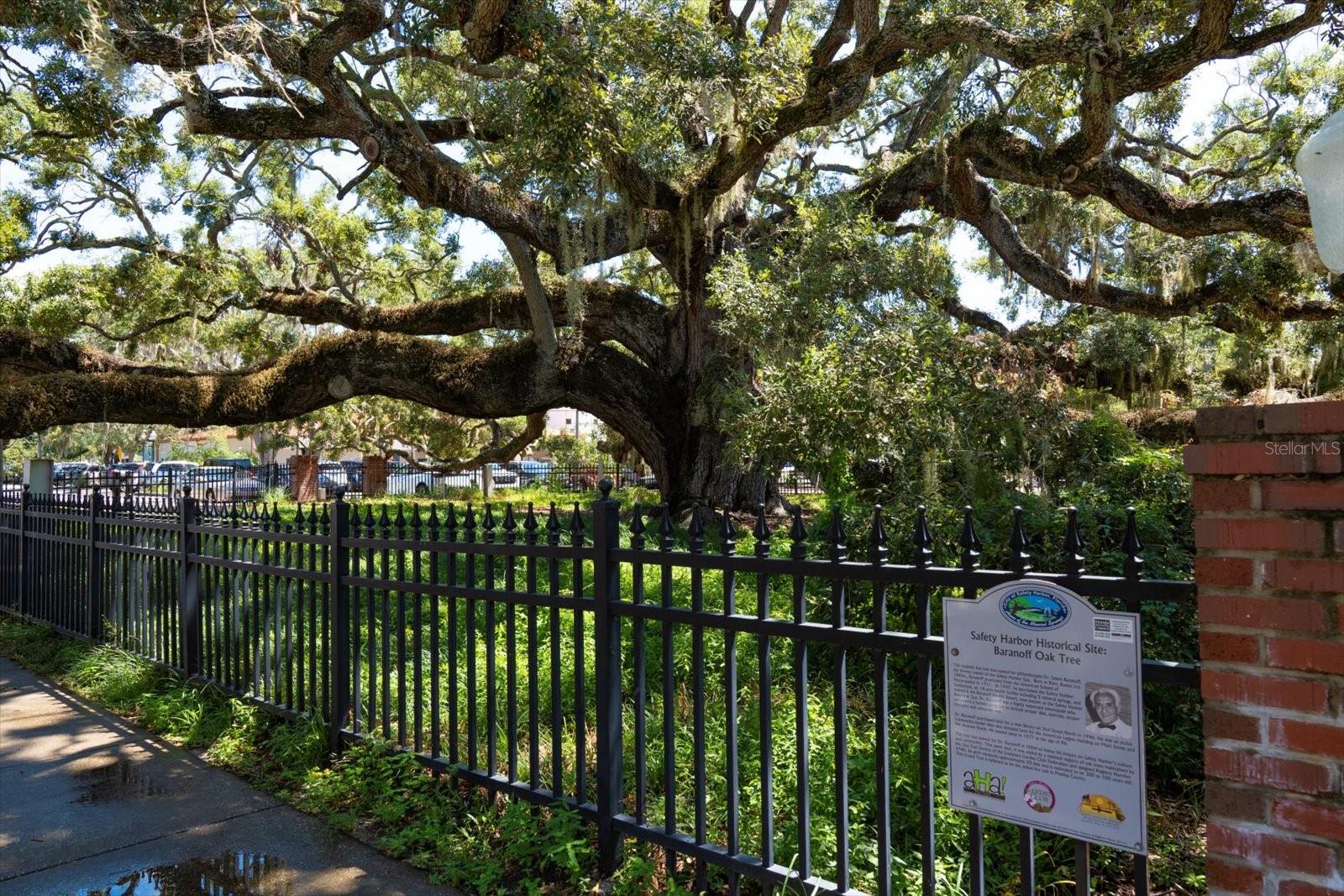 Safety Harbor