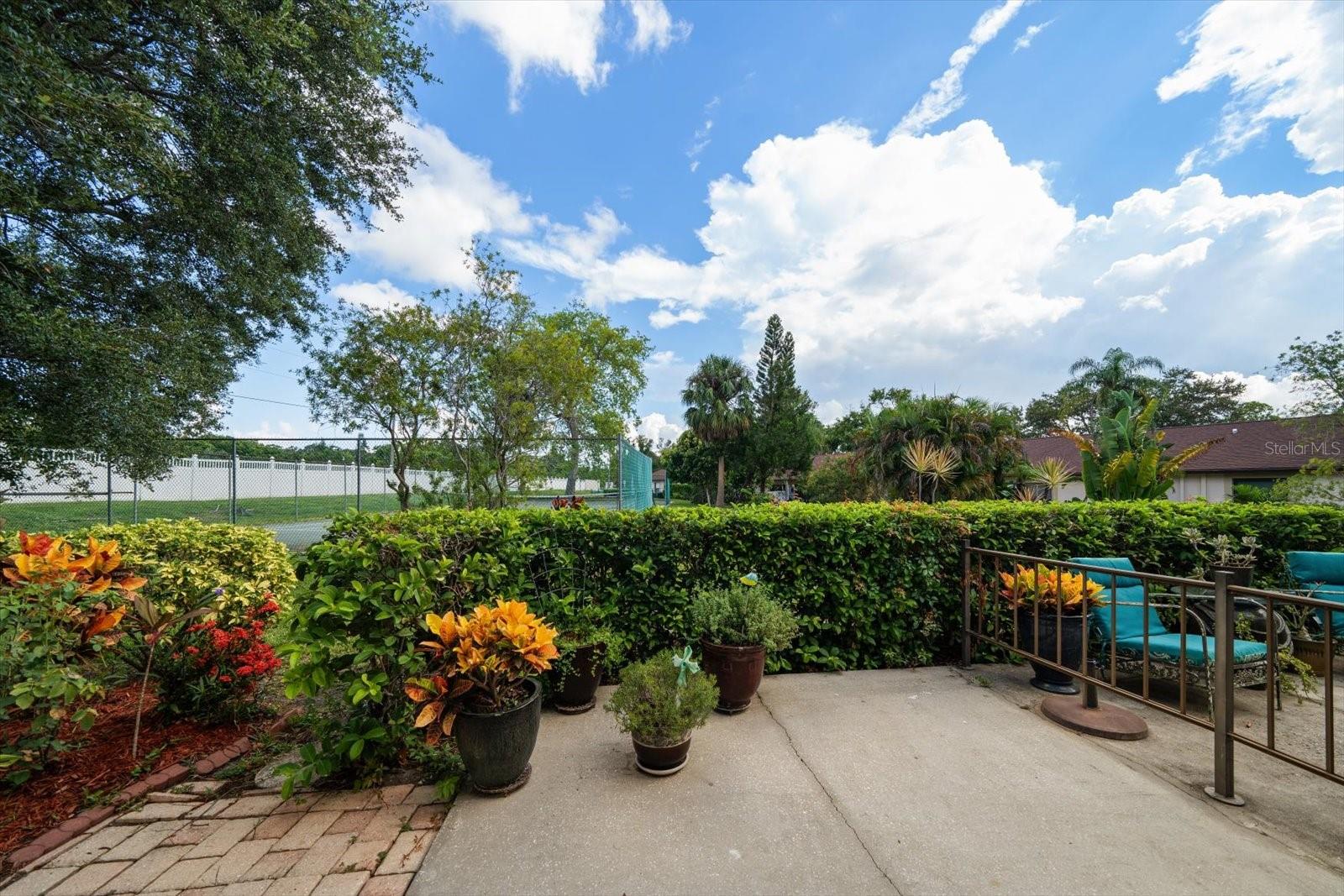 Nicely landscaped back patio