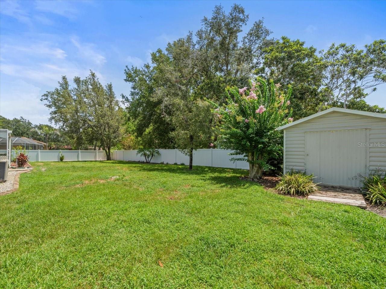 Backyard with Shed