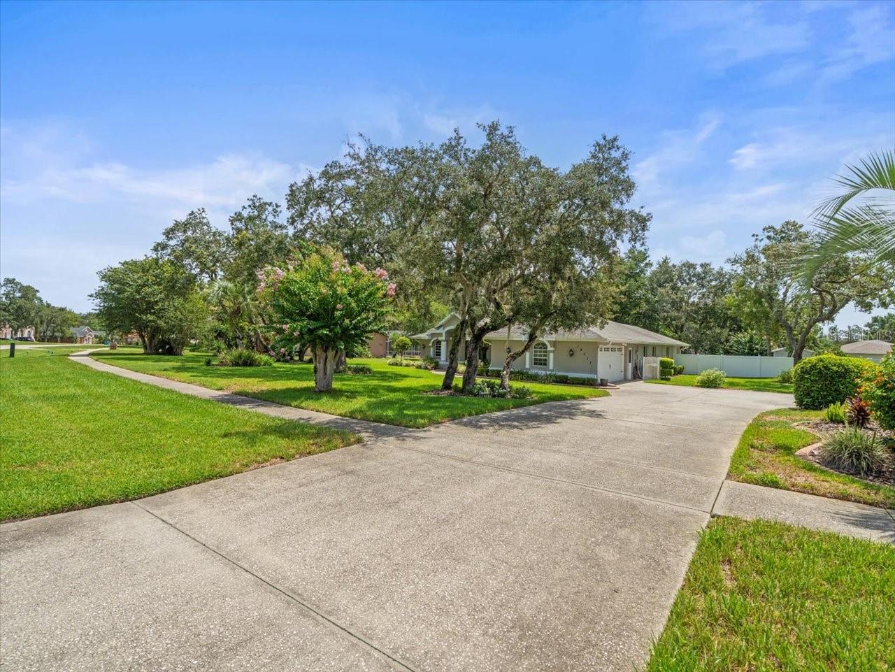 Driveway