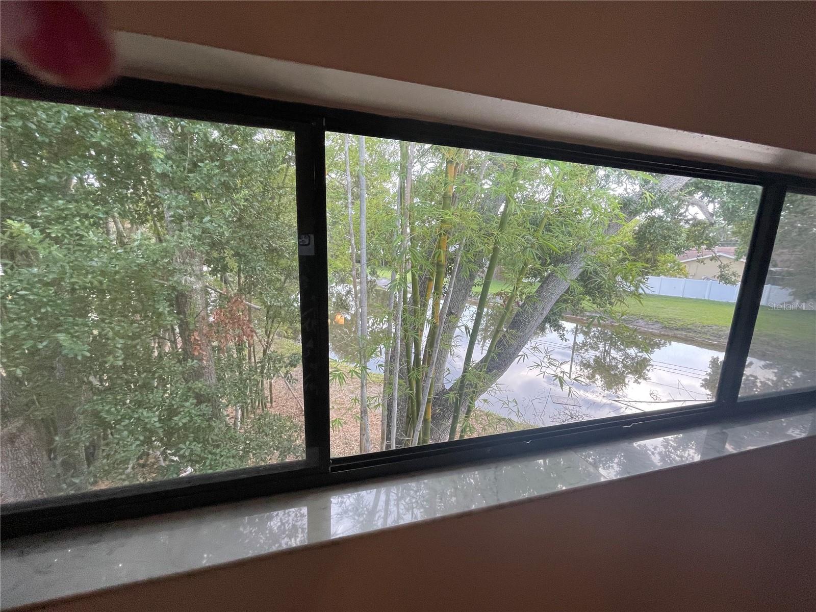 pond view from Loft