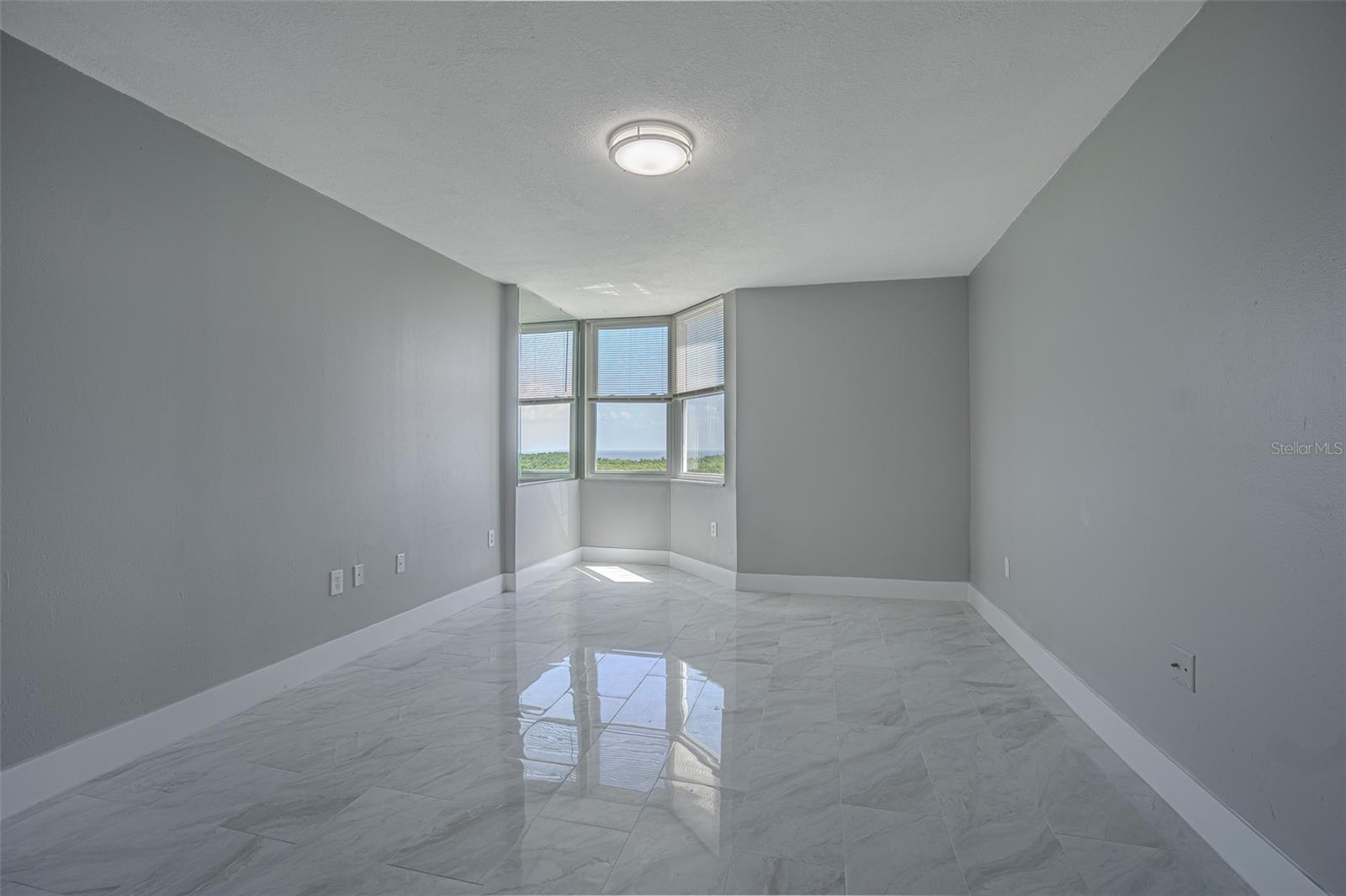 THE MASTER BEDROOM AND THROUGHOUT THE UNIT YOU GET ALL NEW WINDOWS.  YOU ALSO GET A WALK IN CLOSET