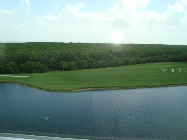 POND VIEW....GOLF COURSE VIEW...AND BEYOND IS THE CONSERVATION AREA WITH TAMPA BAY