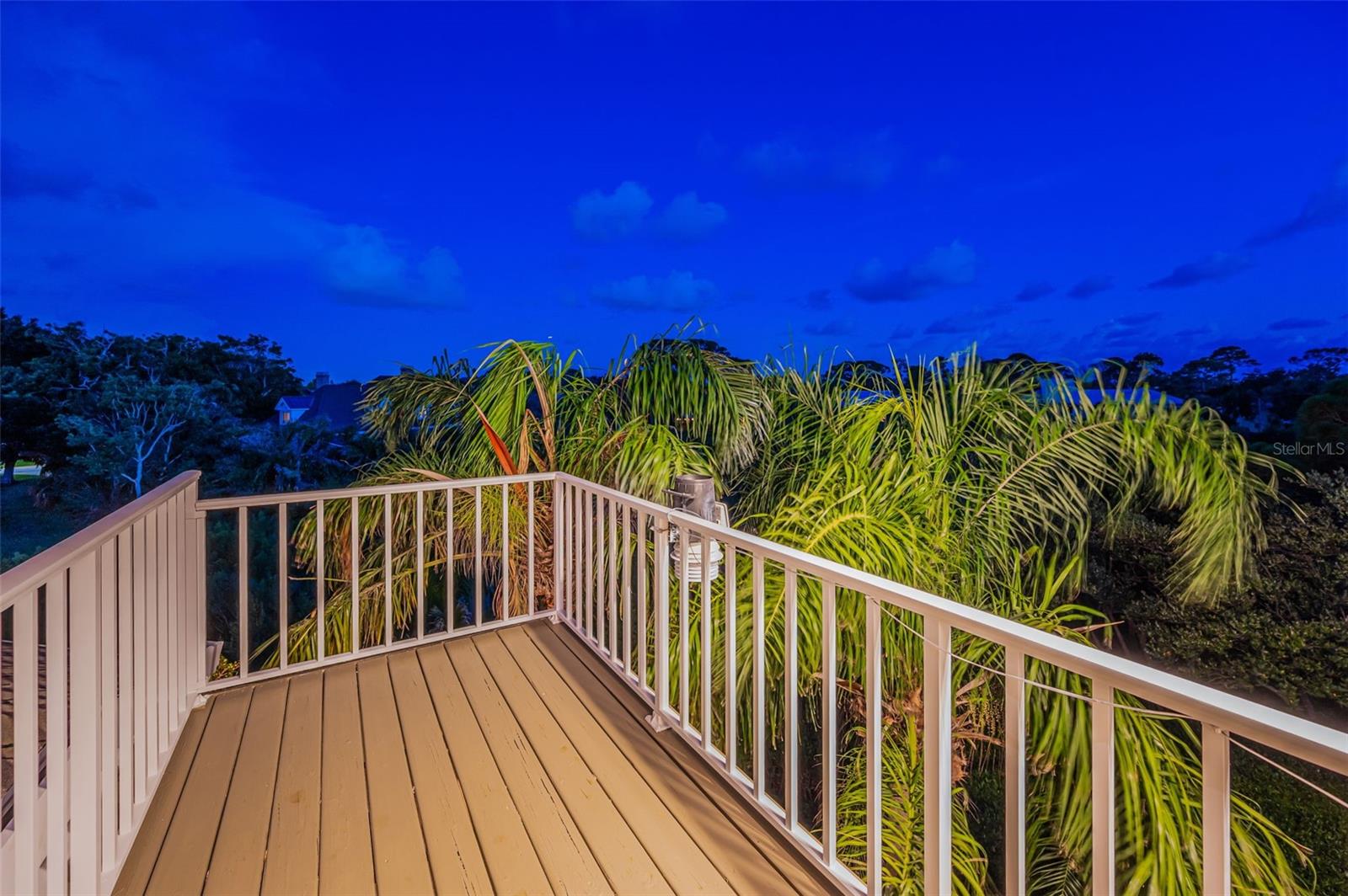 Treetop and skyline view
