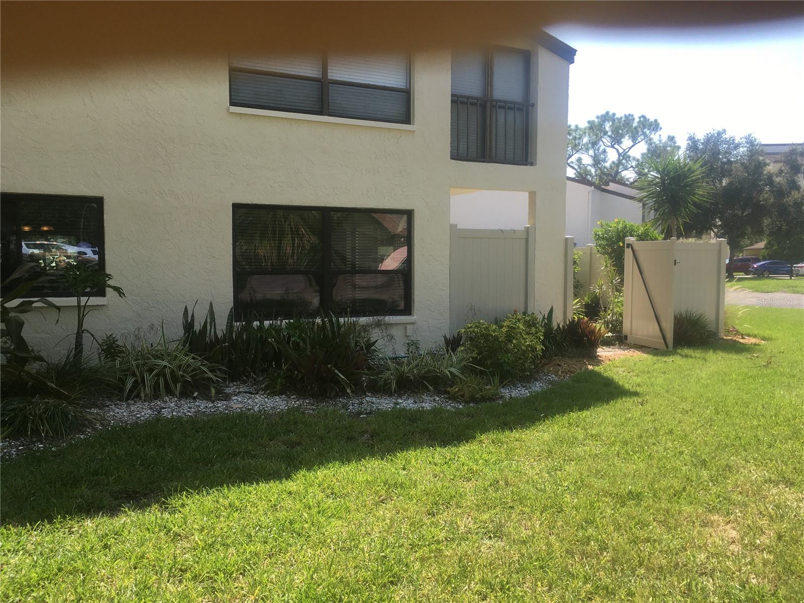 Looking at the backyard gate and windows in the living/dining rooms