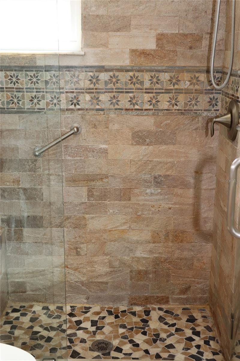 Hall bath designer shower