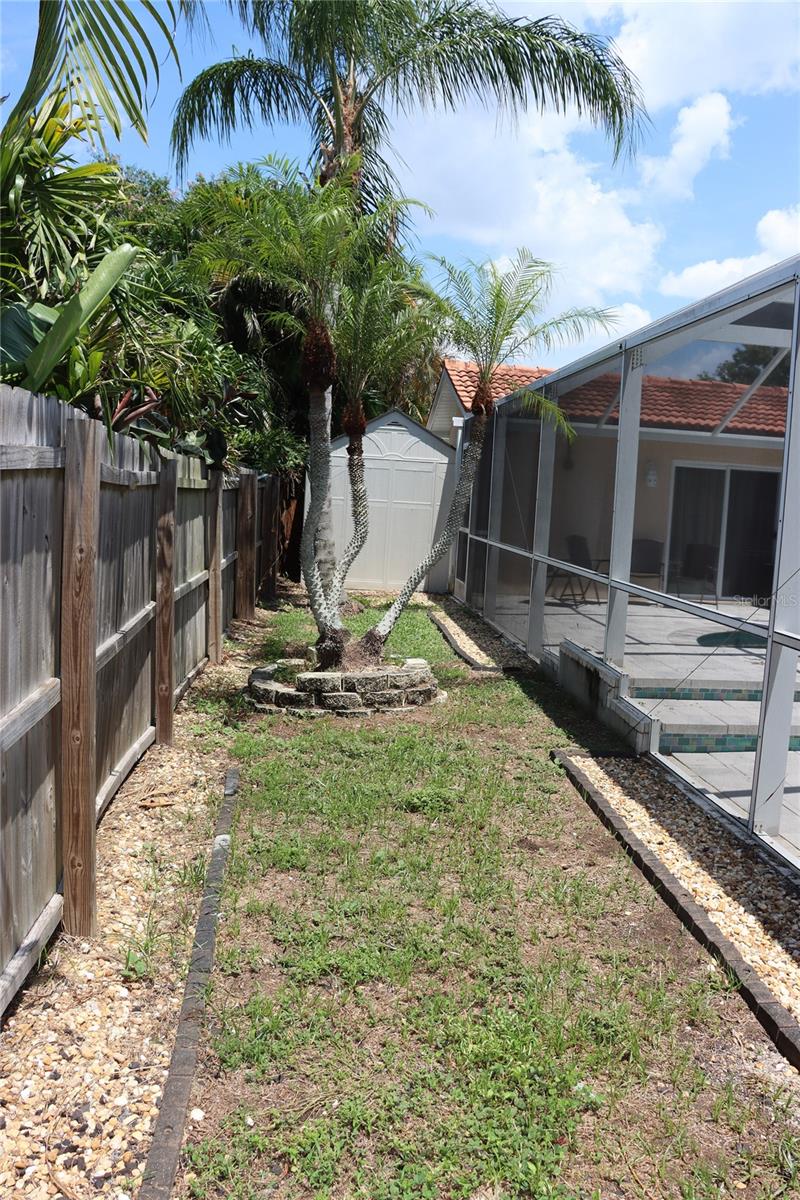 Back area/shed