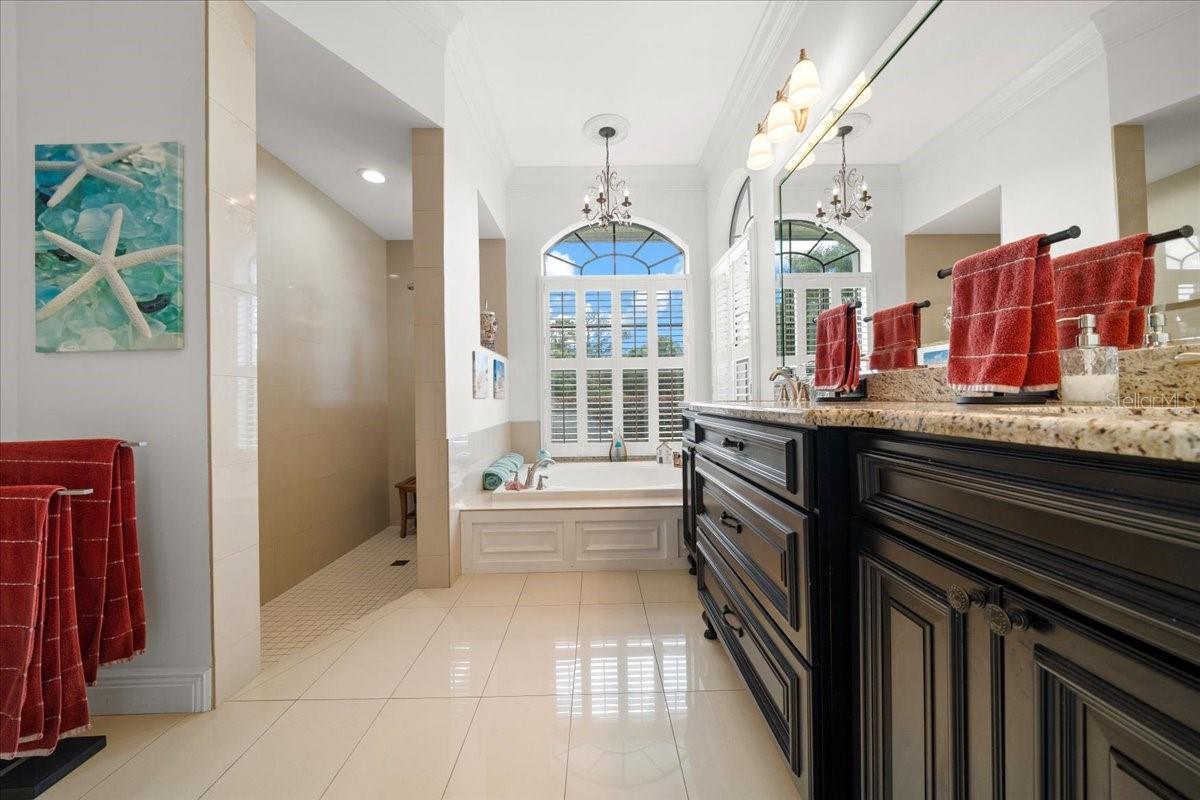 Walk-In Shower Goals