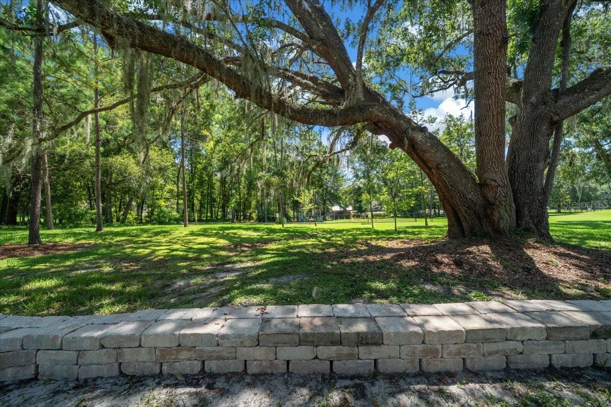 Outdoor Dream Space