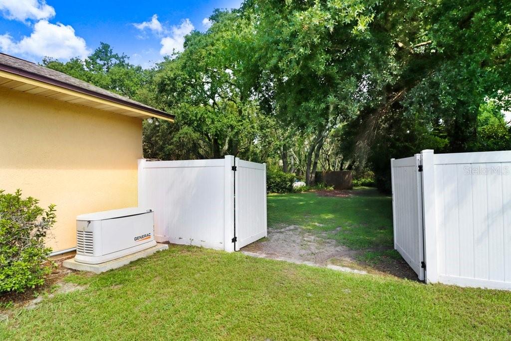 Whole Home Generator/Generac