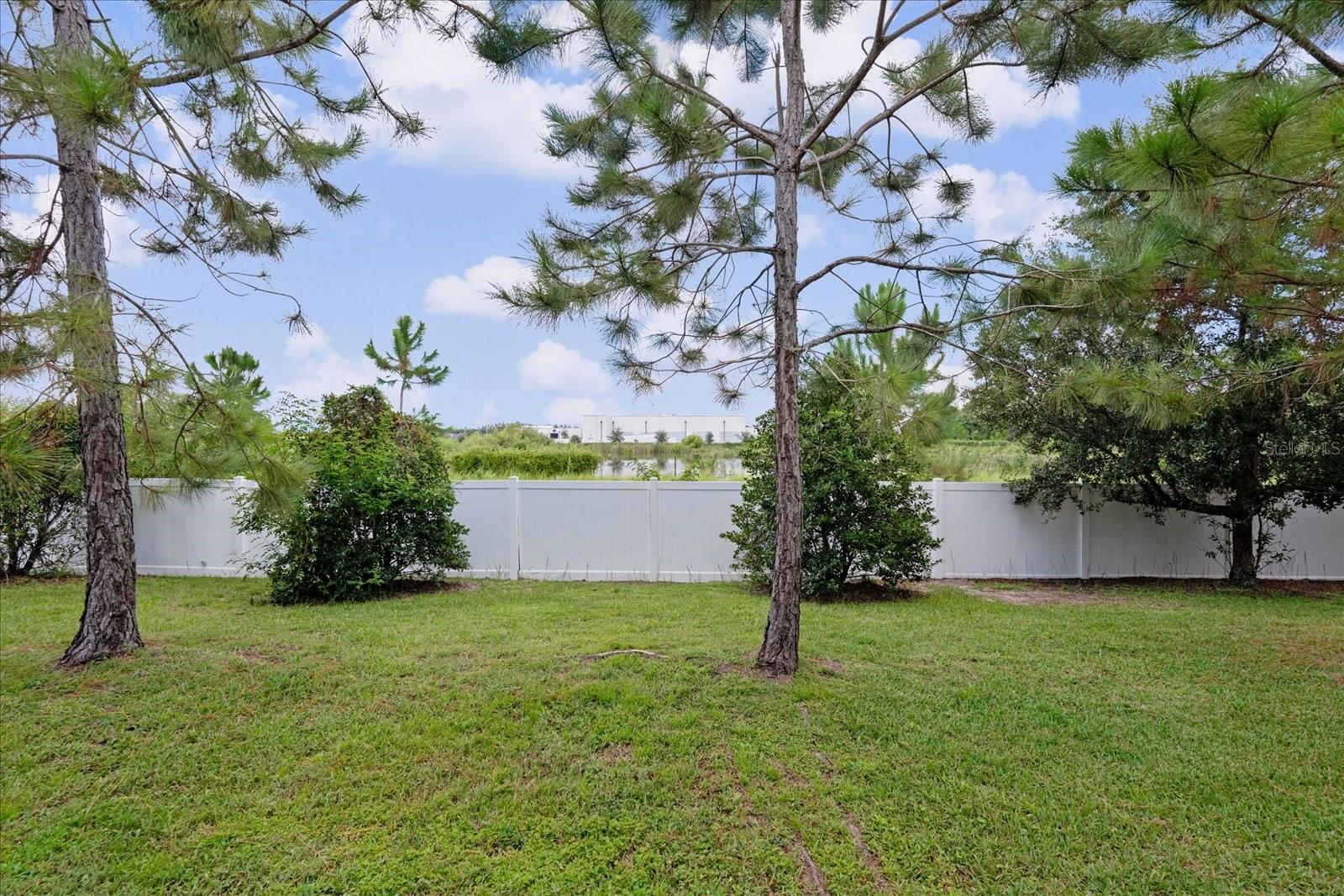 Lawn Area