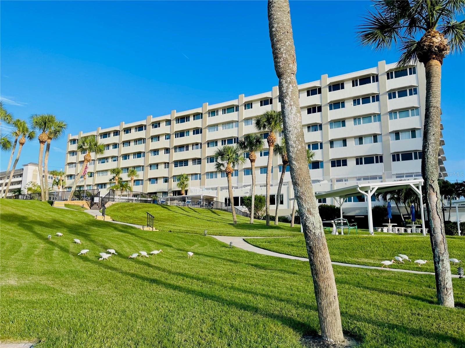 Building A- High on the Bluffs
