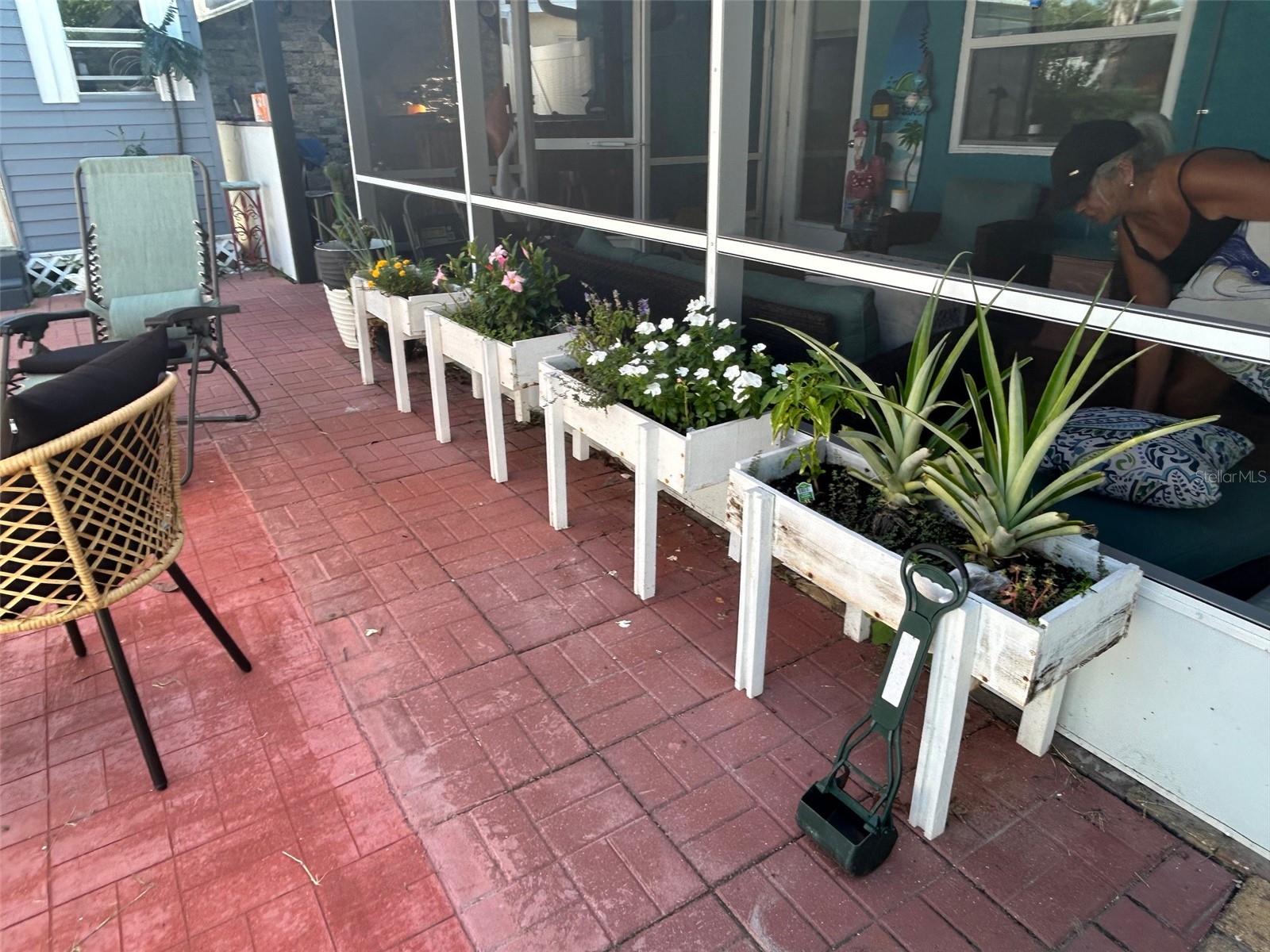 flower boxes
