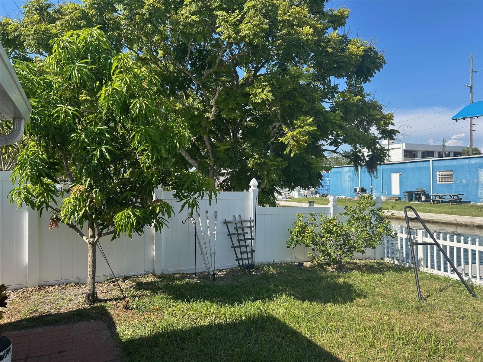 guava and lemon tree
