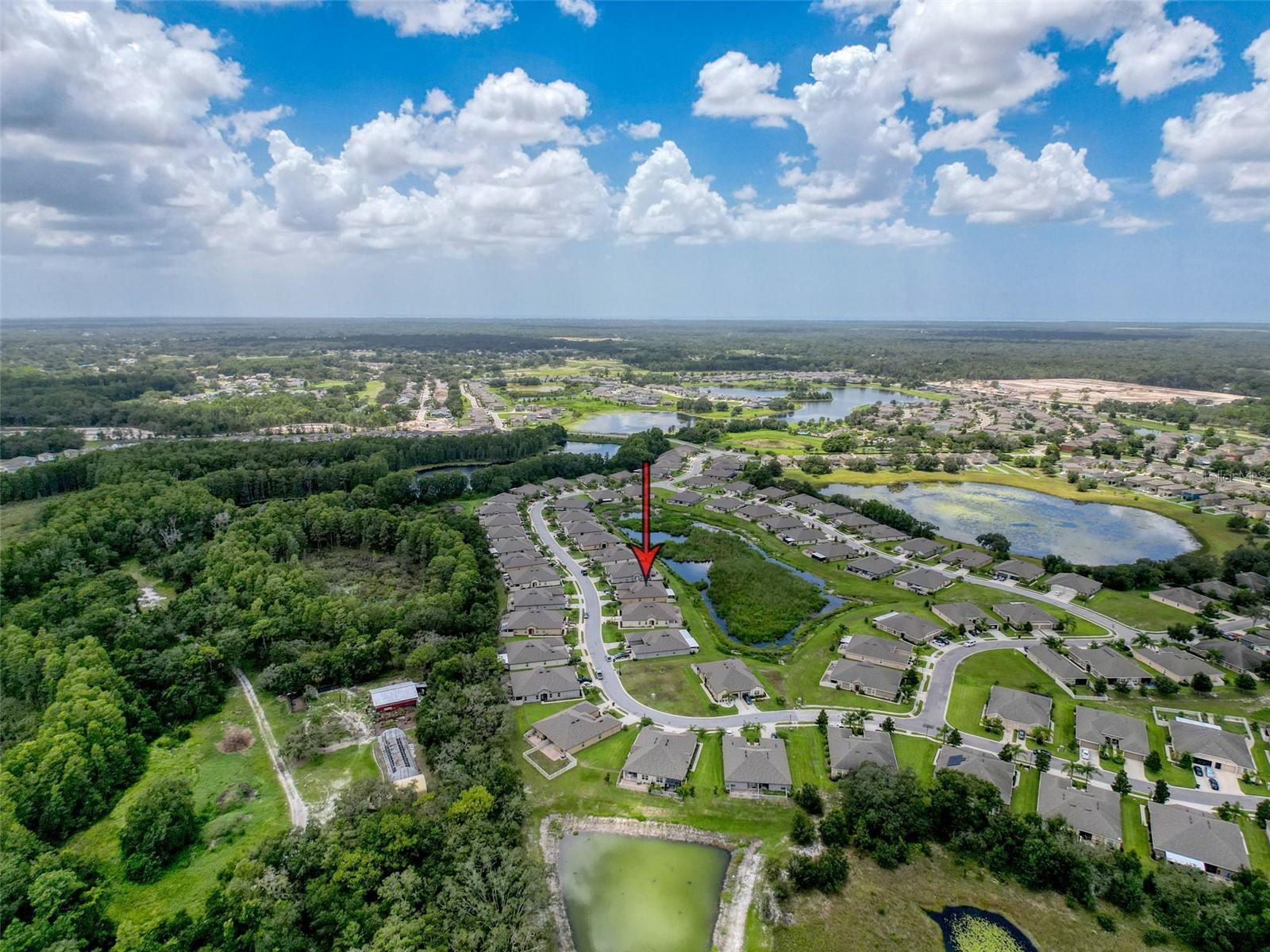 L4954787