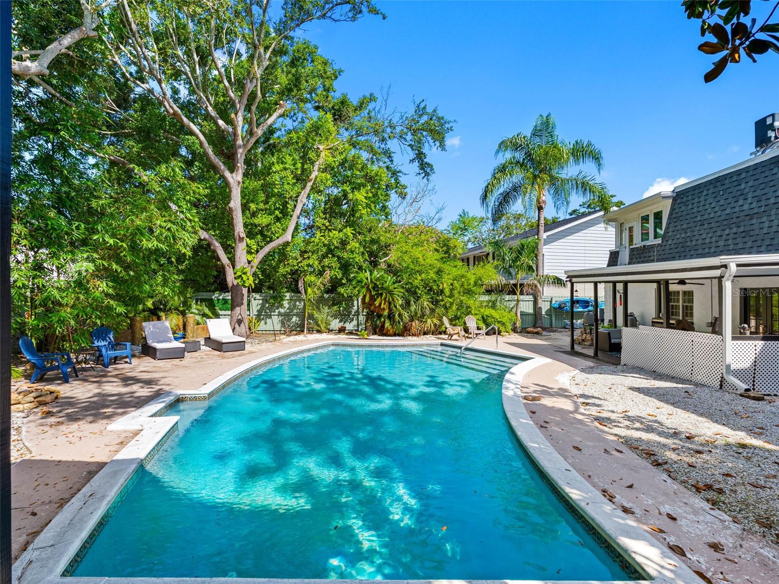 Back yard Pool