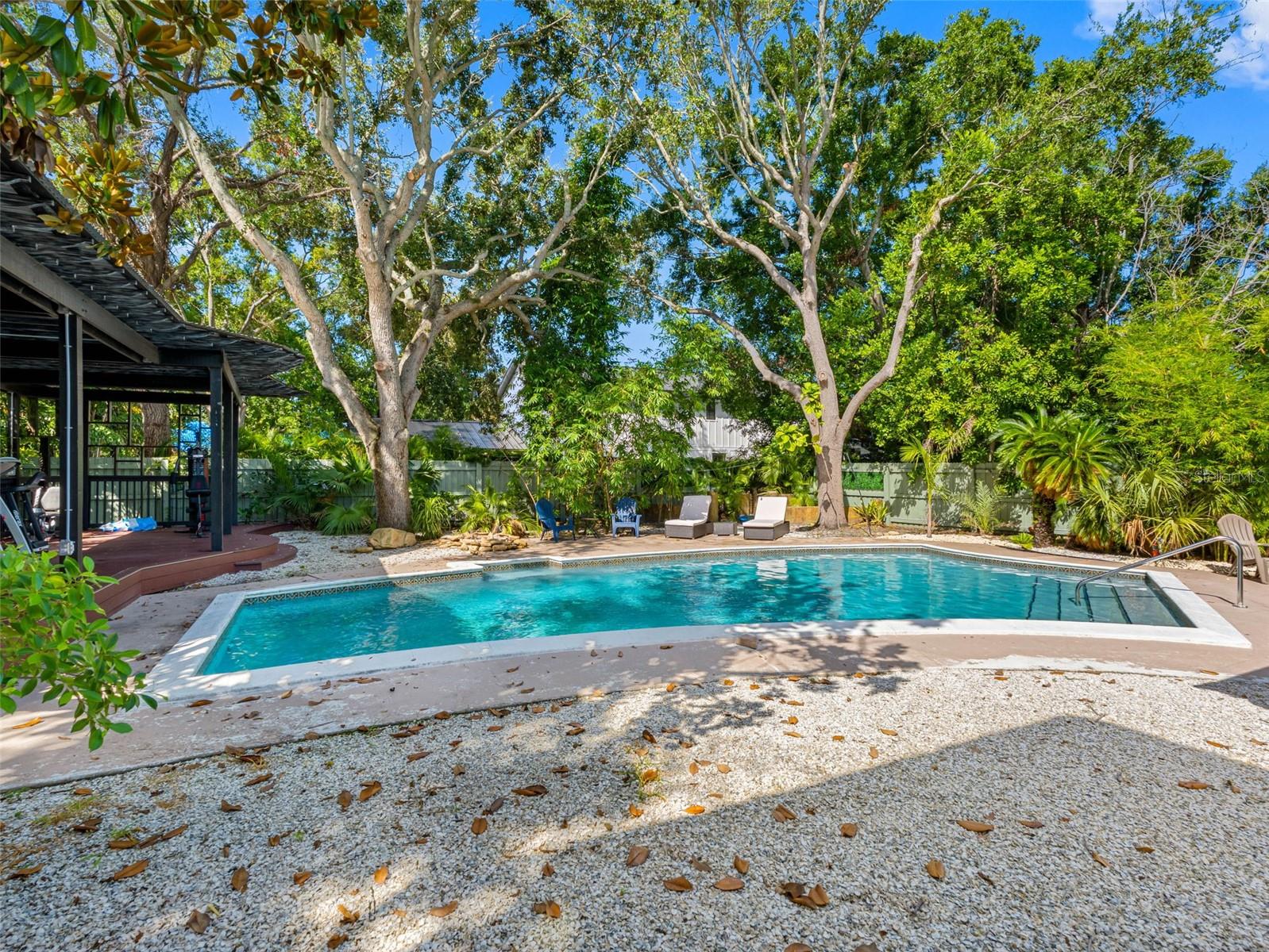 Back yard Pool