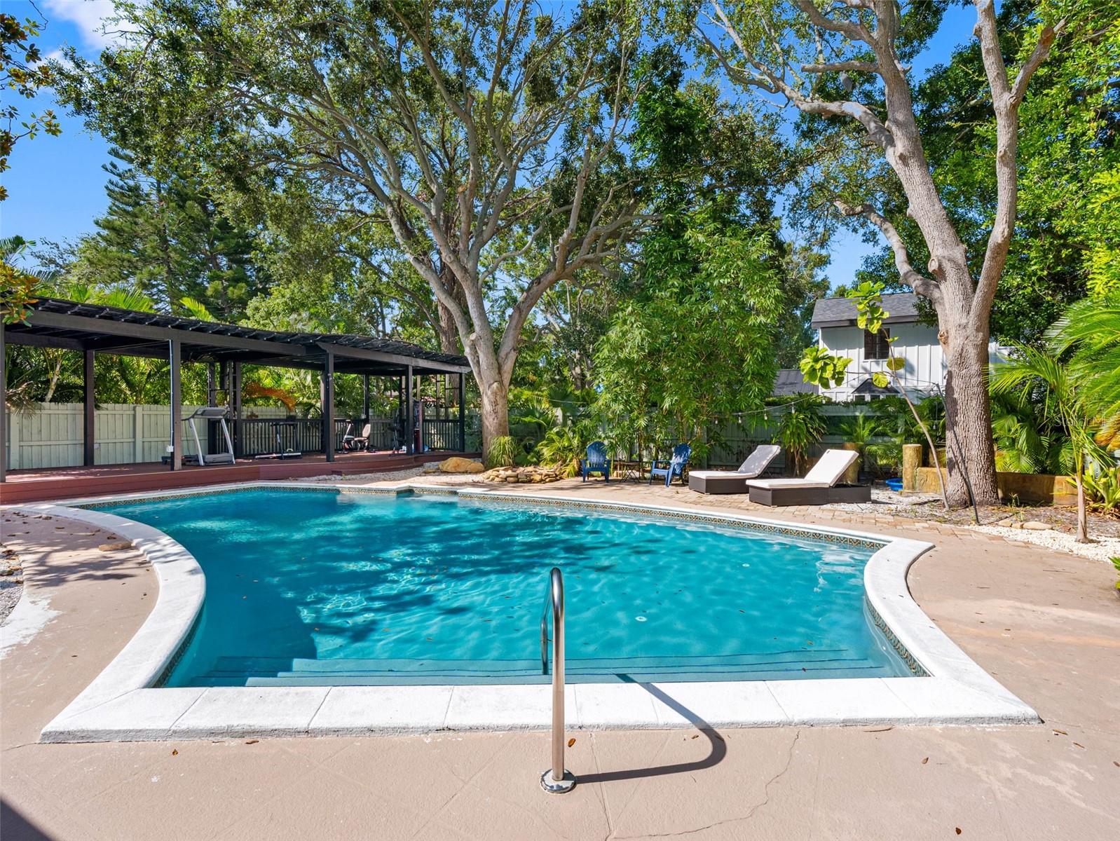 Back yard Pool