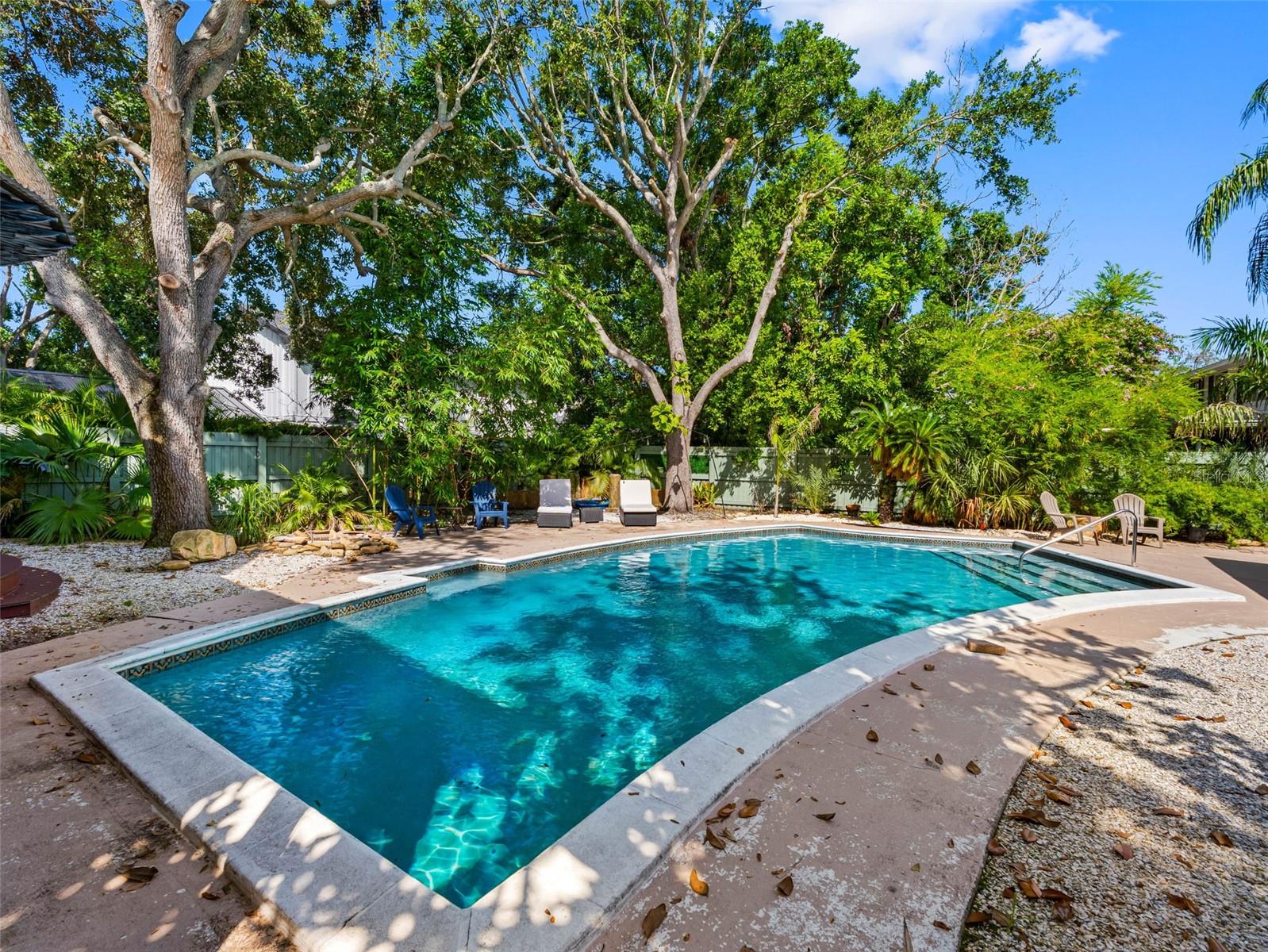 Back yard Pool