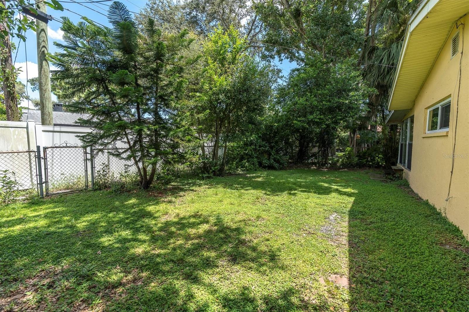 Back yard/Back of home